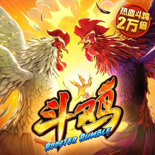 bibo必博体育官方平台入口